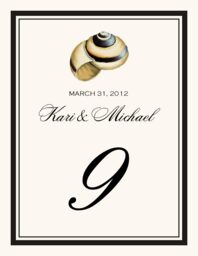 Antique Seashell Collector  Table Numbers