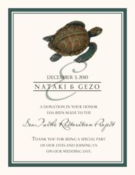 Sea Turtle Donation Cards