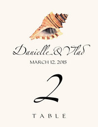 Seashell Assortment 02 Table Numbers