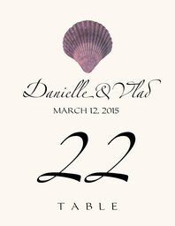 Seashell Assortment 02 Table Numbers