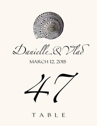 Seashell Assortment 02 Table Numbers