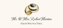 Seashell Assortment  Place Cards