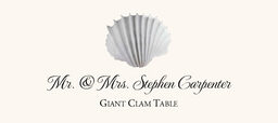 Seashell Assortment  Place Cards