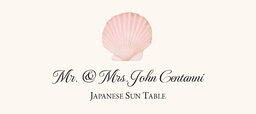 Seashell Assortment  Place Cards