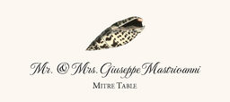 Seashell Assortment  Place Cards