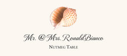 Seashell Assortment  Place Cards