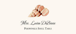 Seashell Assortment  Place Cards