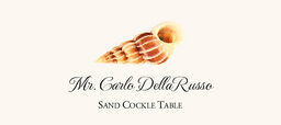 Seashell Assortment  Place Cards