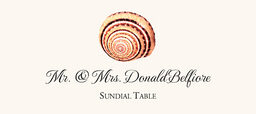 Seashell Assortment  Place Cards