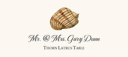 Seashell Assortment  Place Cards