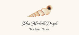 Seashell Assortment  Place Cards