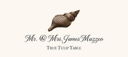 Seashell Assortment  Place Cards