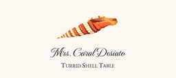 Seashell Assortment  Place Cards