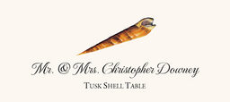 Seashell Assortment  Place Cards