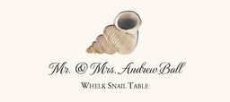 Seashell Assortment  Place Cards