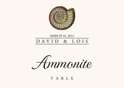 Seashell Assortment  Table Names