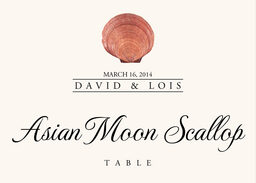 Seashell Assortment  Table Names