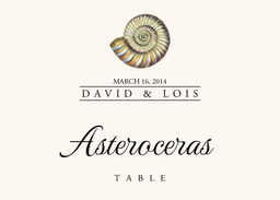 Seashell Assortment  Table Names