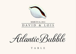 Seashell Assortment  Table Names