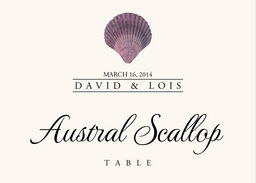 Seashell Assortment  Table Names