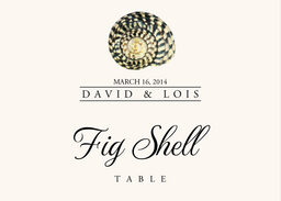 Seashell Assortment  Table Names
