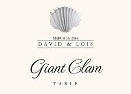 Seashell Assortment  Table Names