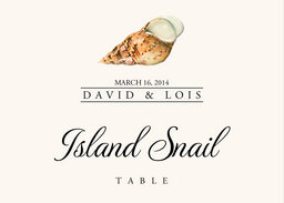 Seashell Assortment  Table Names