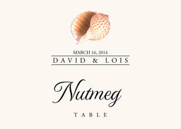 Seashell Assortment  Table Names