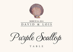 Seashell Assortment  Table Names