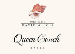 Seashell Assortment  Table Names