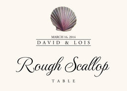 Seashell Assortment  Table Names