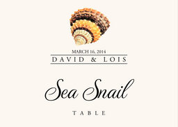 Seashell Assortment  Table Names