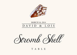 Seashell Assortment Table Names