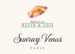 Seashell Assortment Table Names