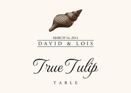 Seashell Assortment Table Names