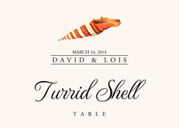 Seashell Assortment Table Names