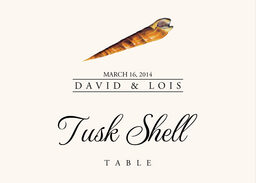 Seashell Assortment Table Names