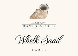 Seashell Assortment Table Names