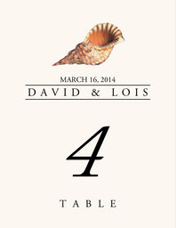 Seashell Assortment  Table Numbers