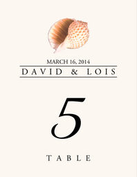 Seashell Assortment  Table Numbers