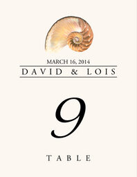 Seashell Assortment  Table Numbers