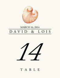 Seashell Assortment  Table Numbers