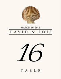 Seashell Assortment  Table Numbers