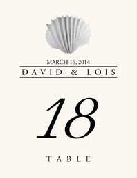 Seashell Assortment  Table Numbers