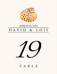 Seashell Assortment  Table Numbers