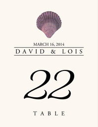 Seashell Assortment  Table Numbers
