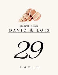 Seashell Assortment  Table Numbers