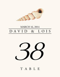 Seashell Assortment  Table Numbers