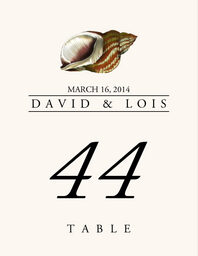 Seashell Assortment  Table Numbers