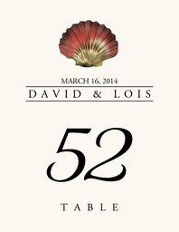 Seashell Assortment  Table Numbers